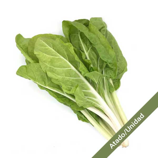 acelga-verde-atado