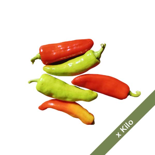 aji-hungaro-or