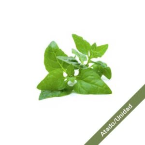 espinaca-nueva-zelanda