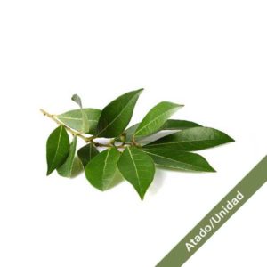 laurel-atado