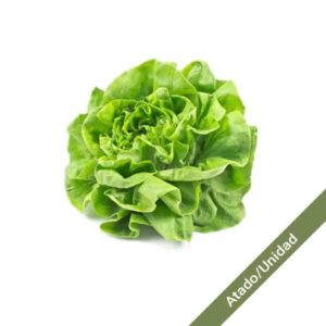 lechuga-mantecosa