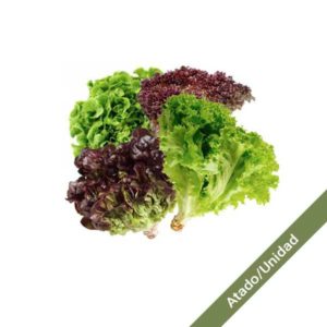 lechuga-mas-linda-unidad