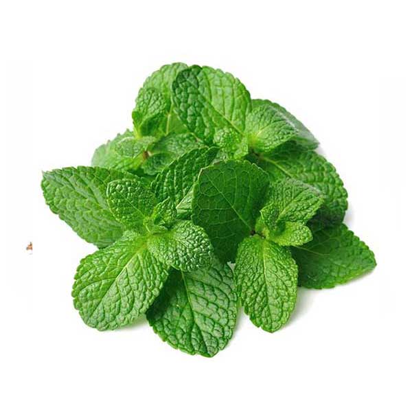 menta