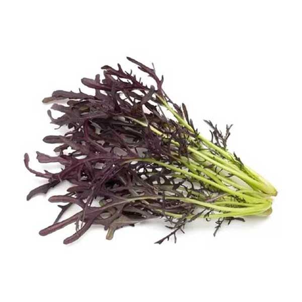 mizuna-morada
