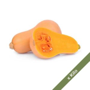 zapallo-calabacin